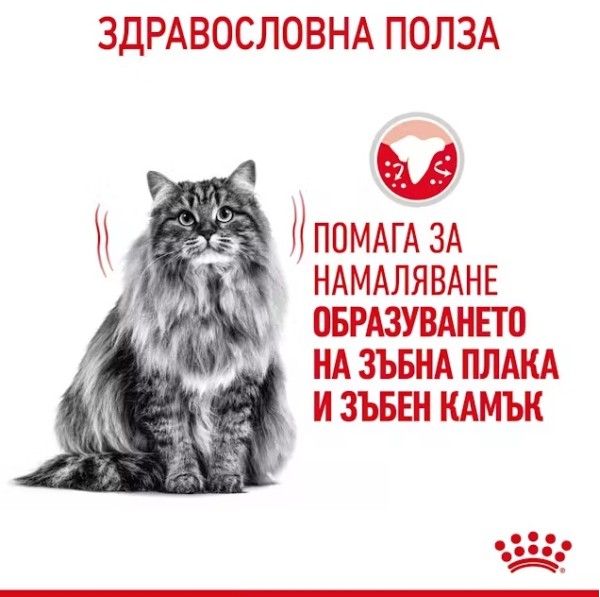 Royal Canin Cat Dental Care - Пълноценна суха храна за котки за намаляване образуването на зъбен камък